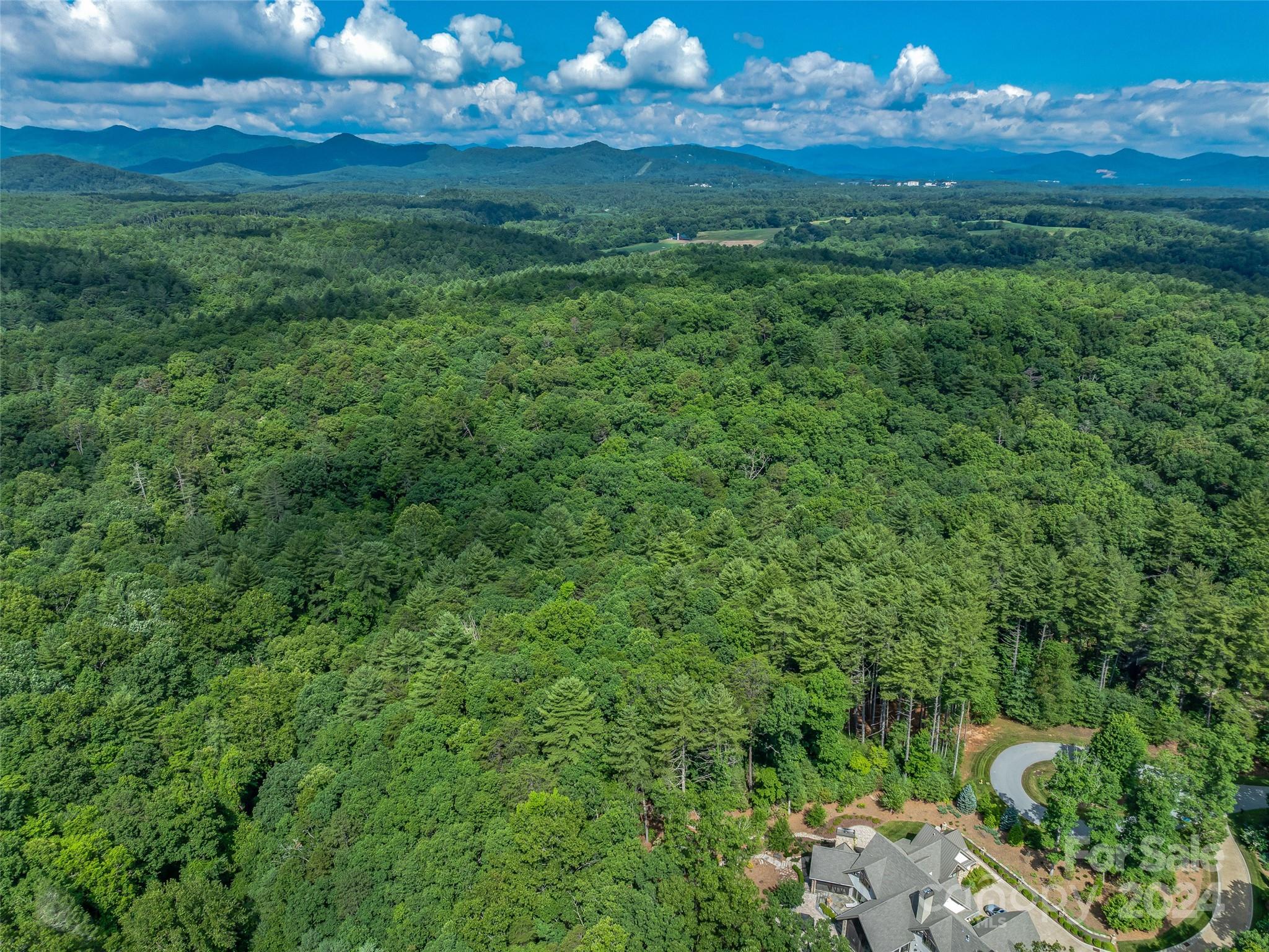 Ramble Biltmore Forest - Land