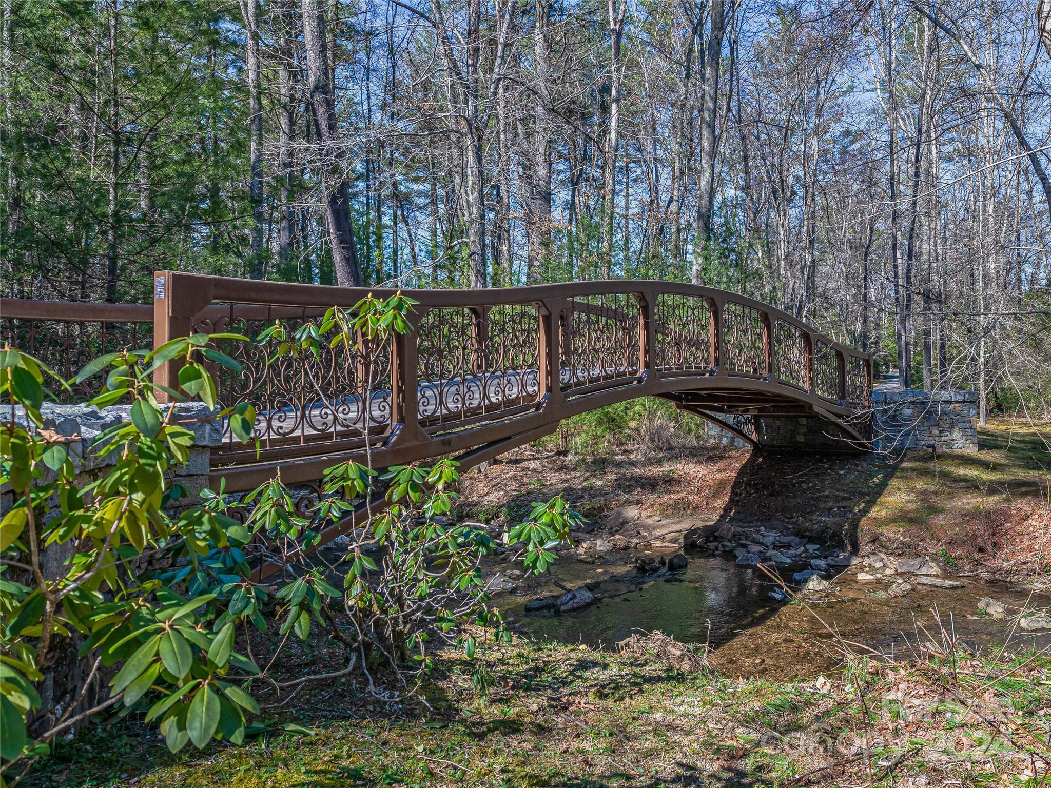 Ramble Biltmore Forest - Land