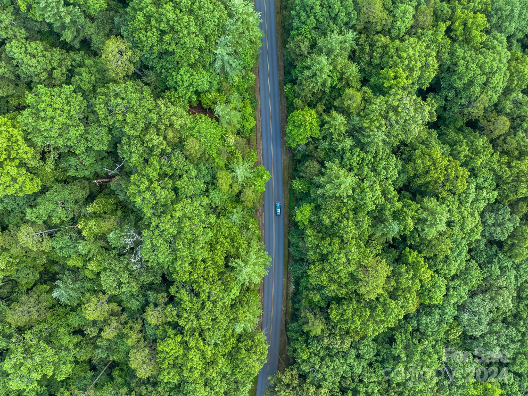Ramble Biltmore Forest - Land