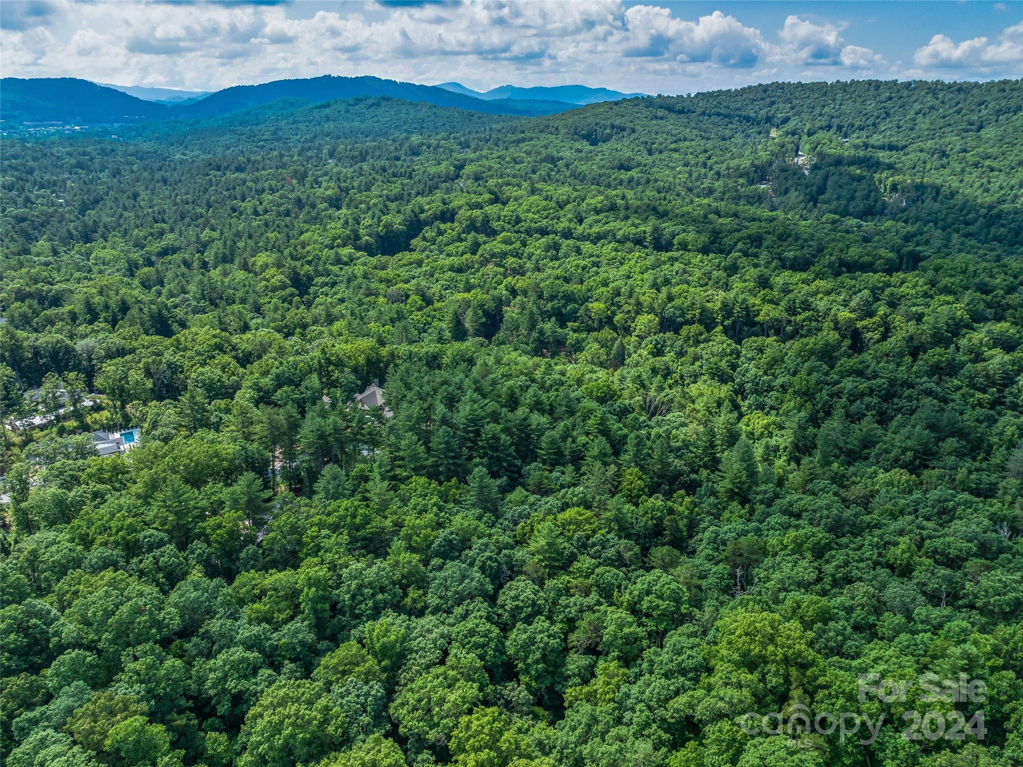 Ramble Biltmore Forest - Land