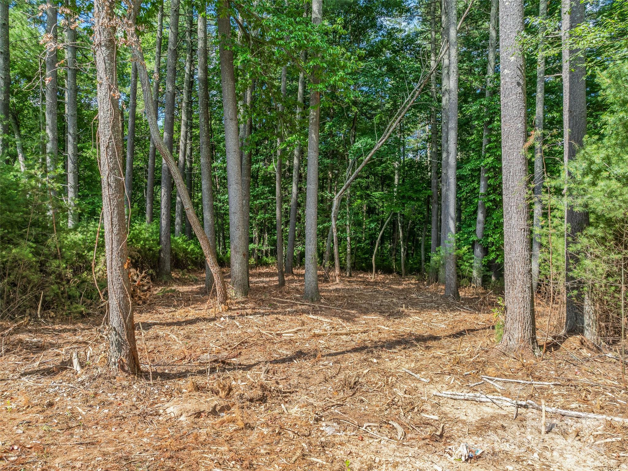 Ramble Biltmore Forest - Land