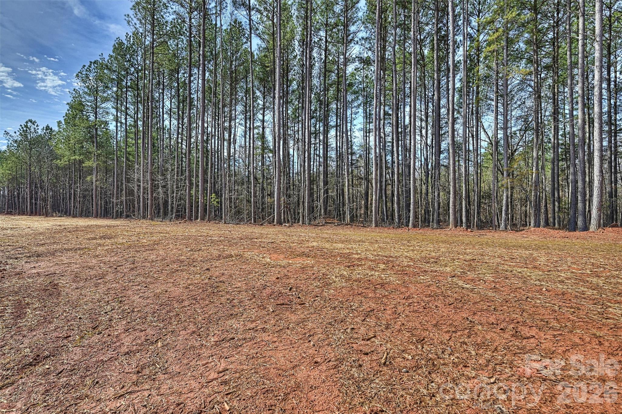 North Pines - Residential