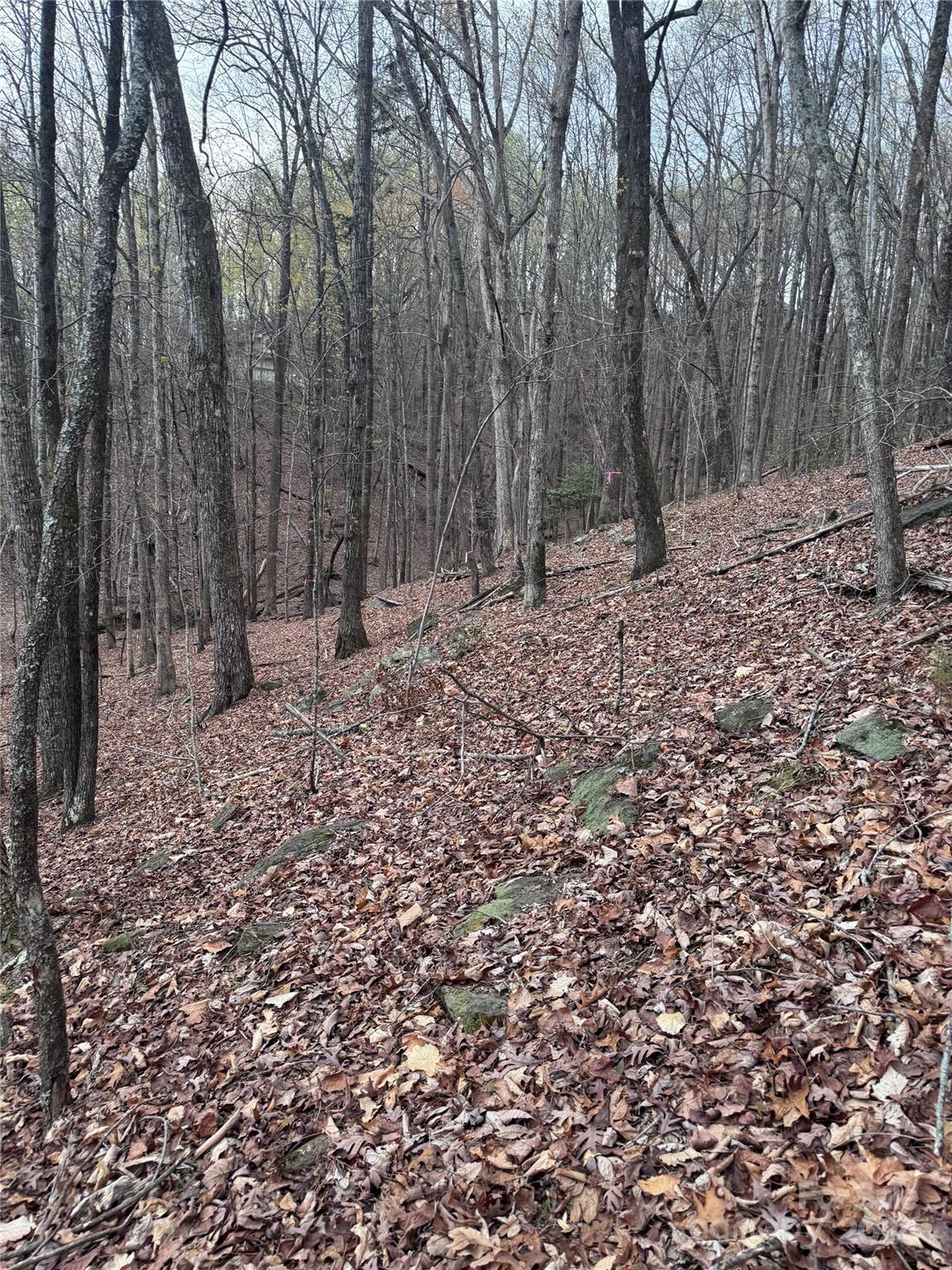 Rumbling Bald on Lake Lure - Land