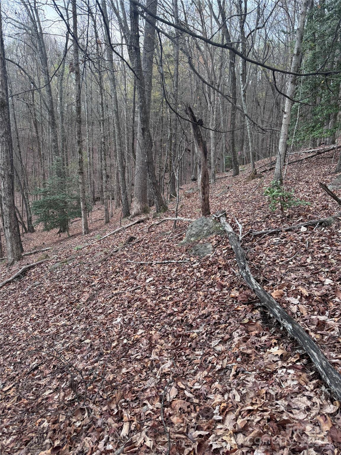 Rumbling Bald on Lake Lure - Land