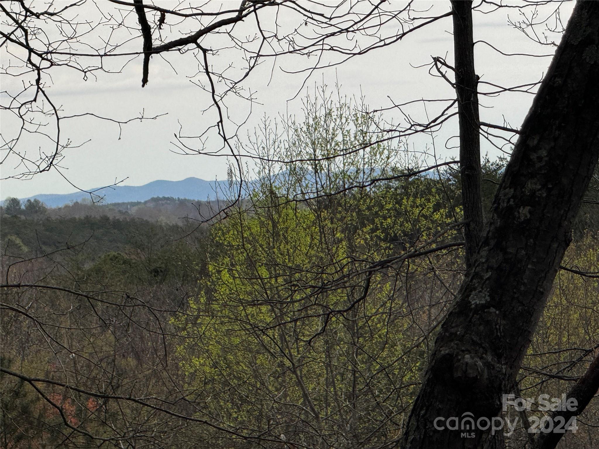 Rumbling Bald on Lake Lure - Land