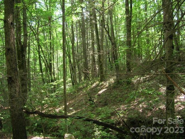 The Settlement at Thomas Divide - Land
