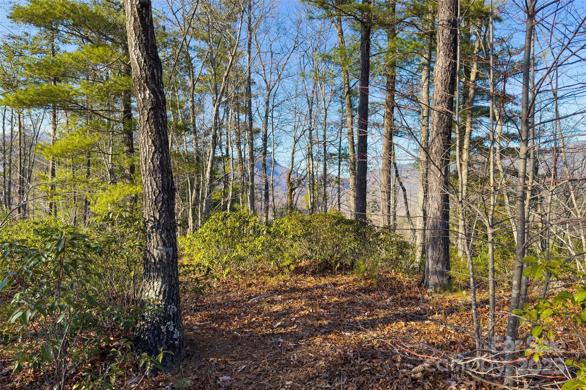 Fox Ridge - Land