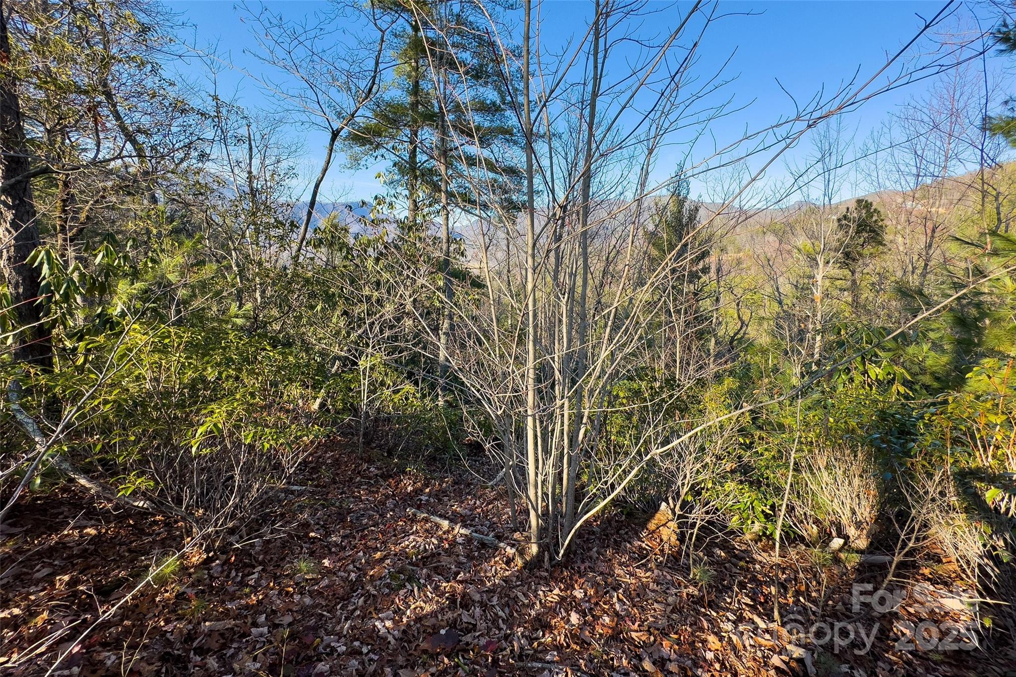 Fox Ridge - Land