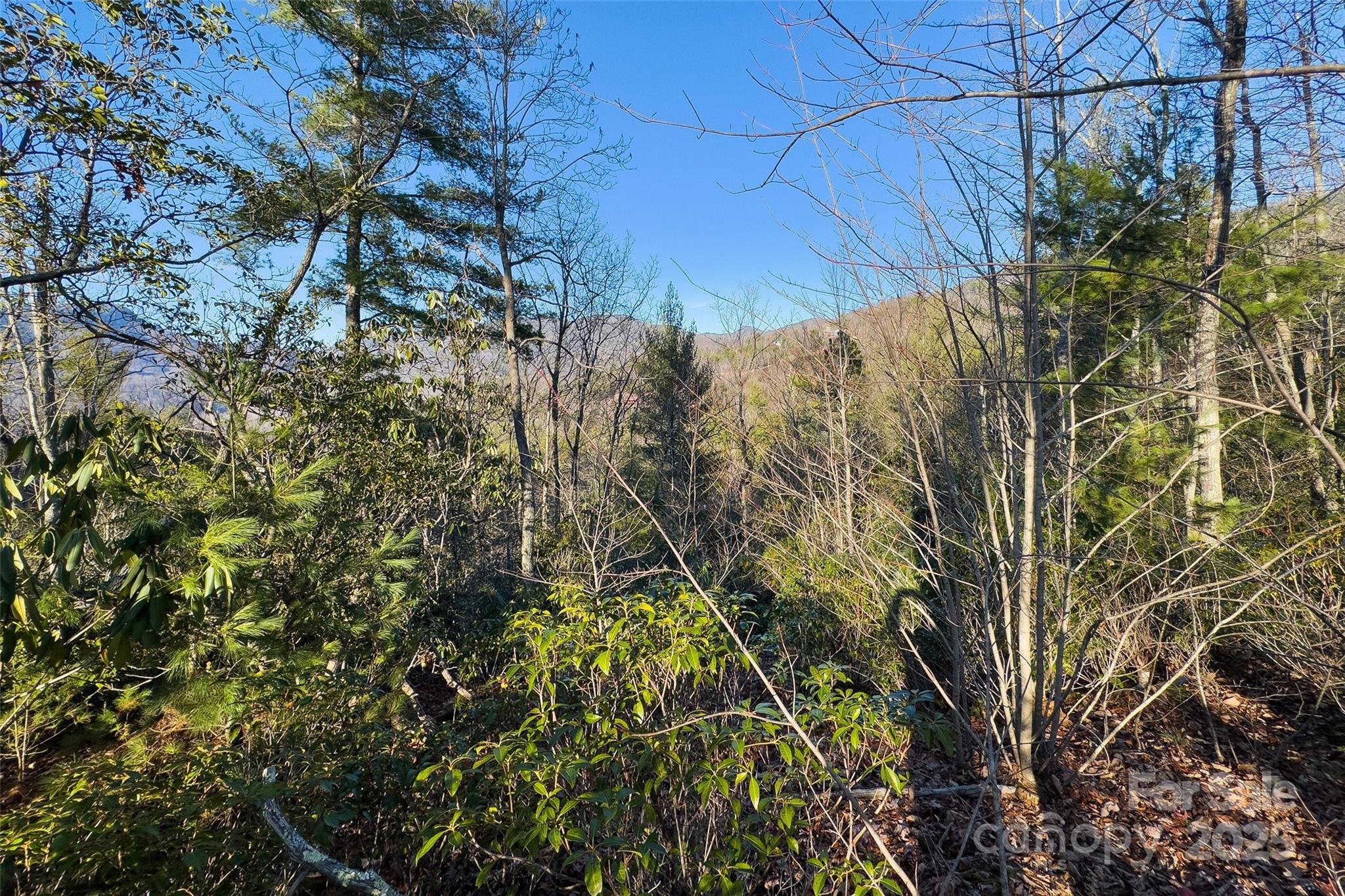 Fox Ridge - Land