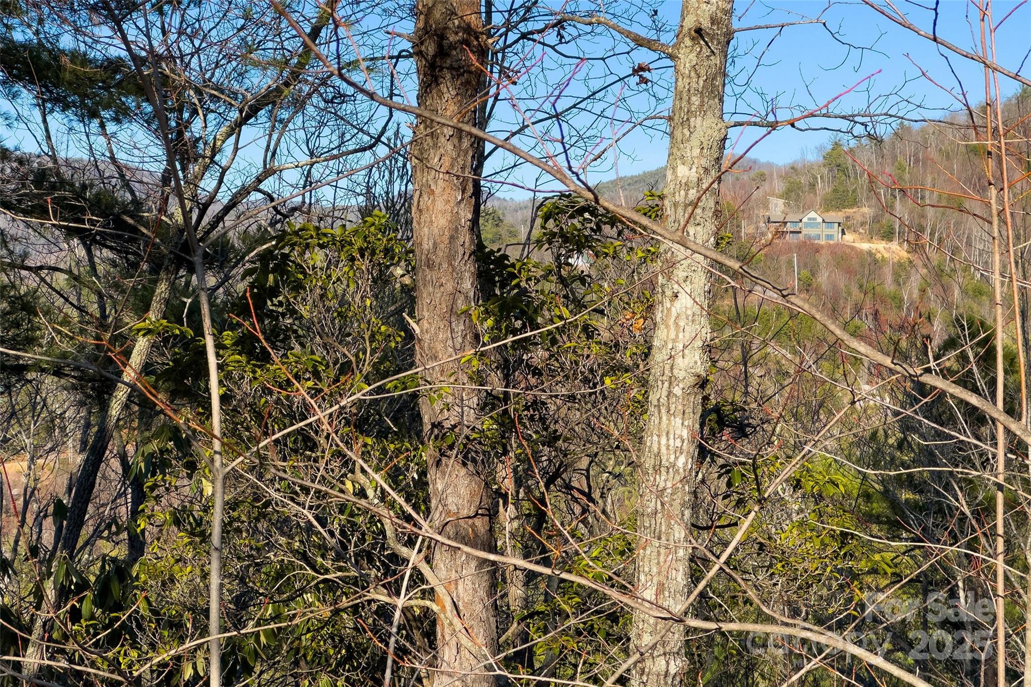 Fox Ridge - Land