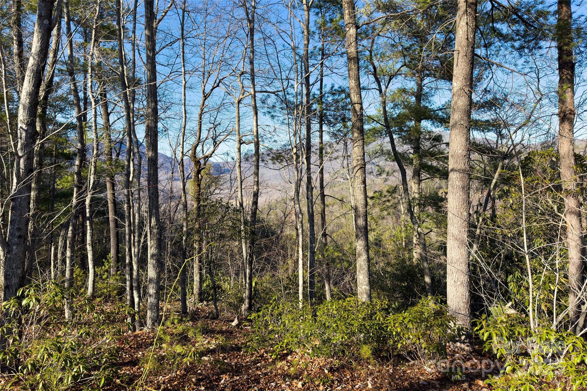 Fox Ridge - Land