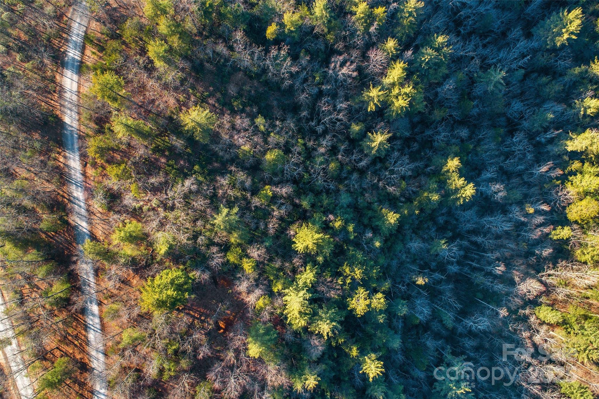 Fox Ridge - Land