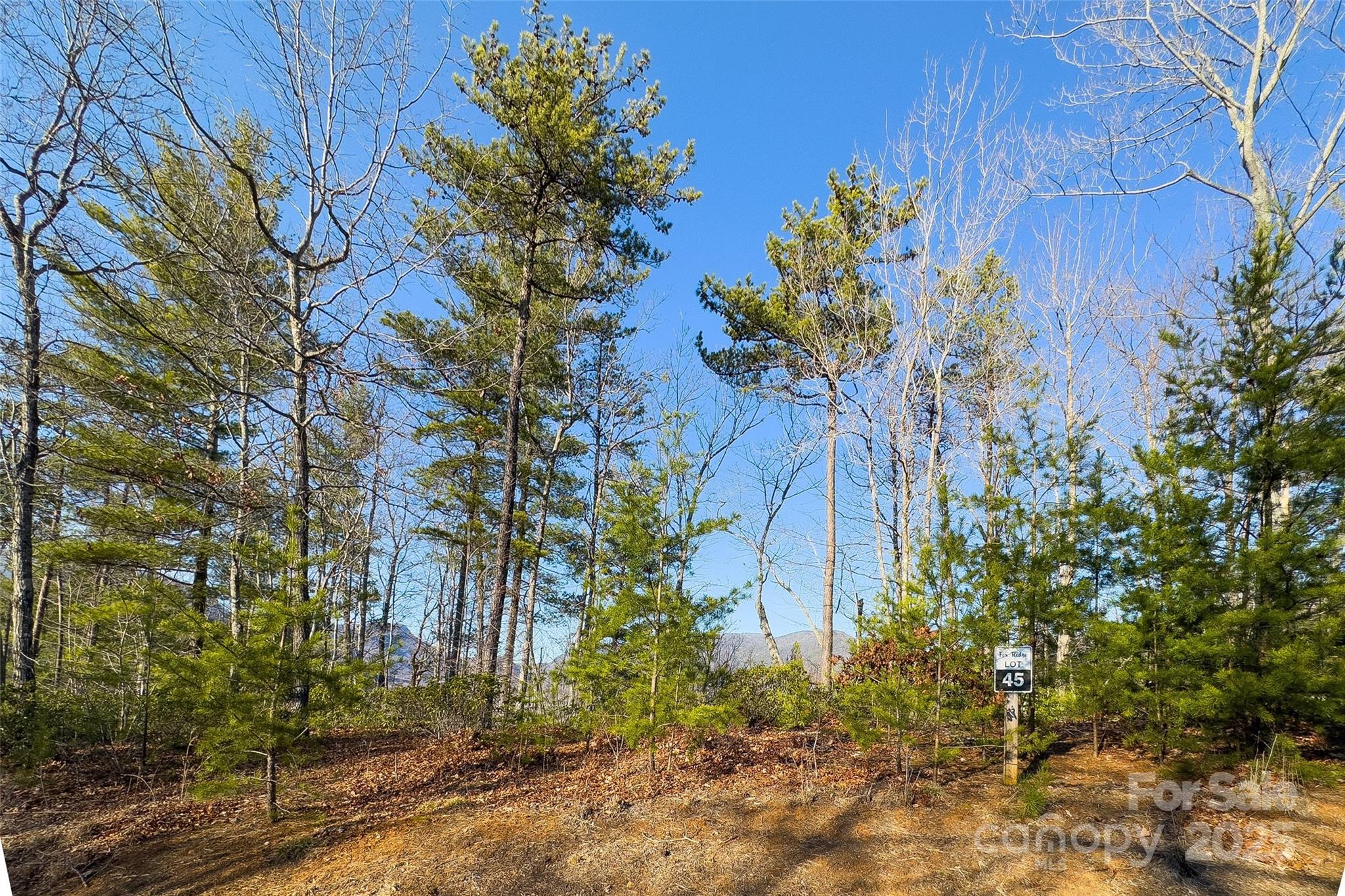 Discover the beauty of North Cove and the Fox Ridge Development. This .91 acre lot sits high a top a ridge line that would allow you to frame Hawksbill Mountain as you look to the north and Mt. Mitchell as  you look to the South. There is about 110 feet of road frontage that would allow a variety of options for a driveway. Linville Caverns, Linville Falls Winery, the Blue Ridge Parkway, Linville Gorge and must see viewing sites like Wiseman's View are short drives from this lots location. You'll also enjoy two waterfalls as drive into the gated community on the way to your new vacation or forever home. Take the time to go stand on this lot and enjoy view. The lot will allow you to be secluded and still be a member of a growing community of Carolina Mountain living lovers! Flora located on the property is identified in the last six photographs. Book a viewing today!
