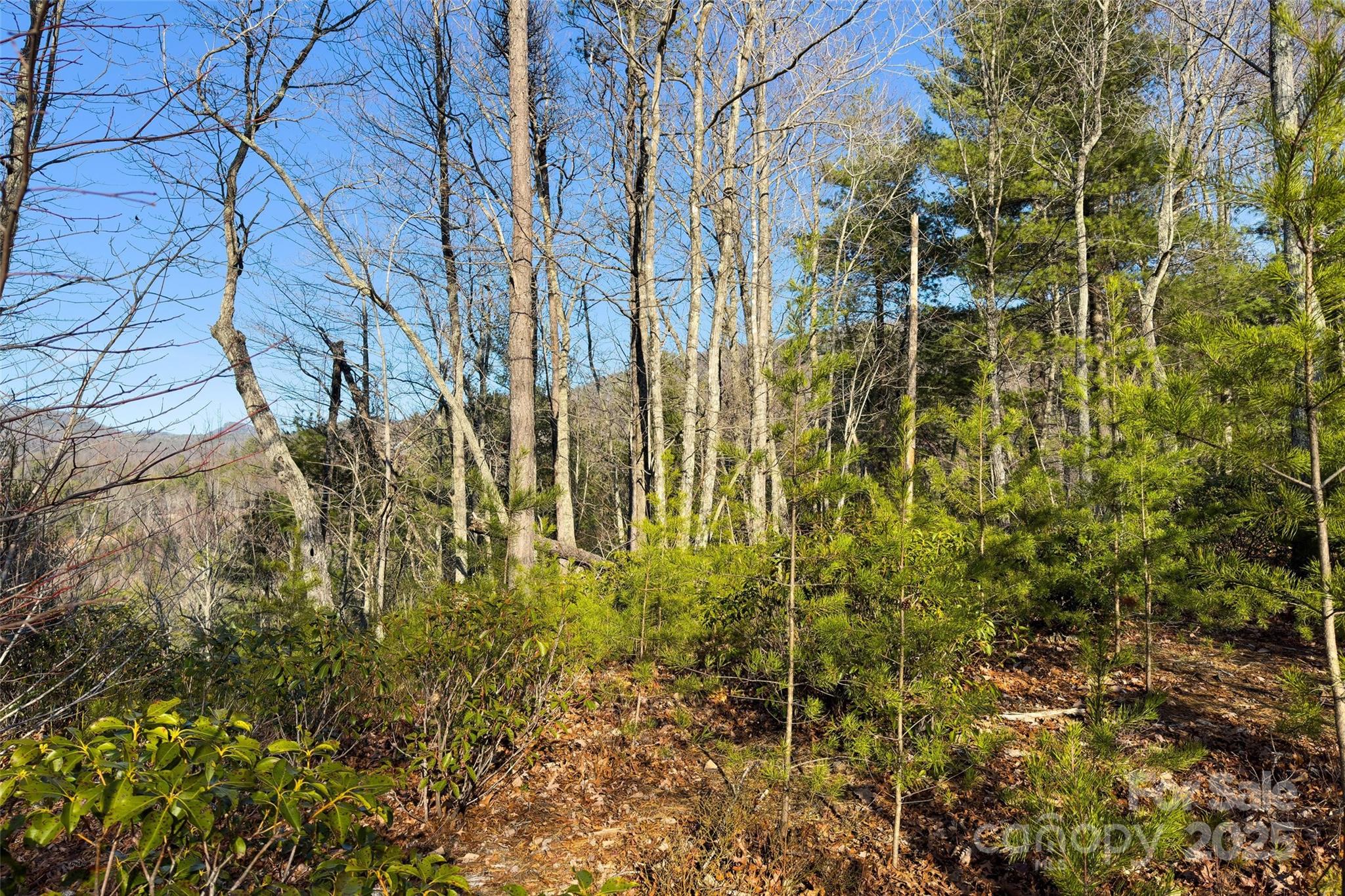 Fox Ridge - Land