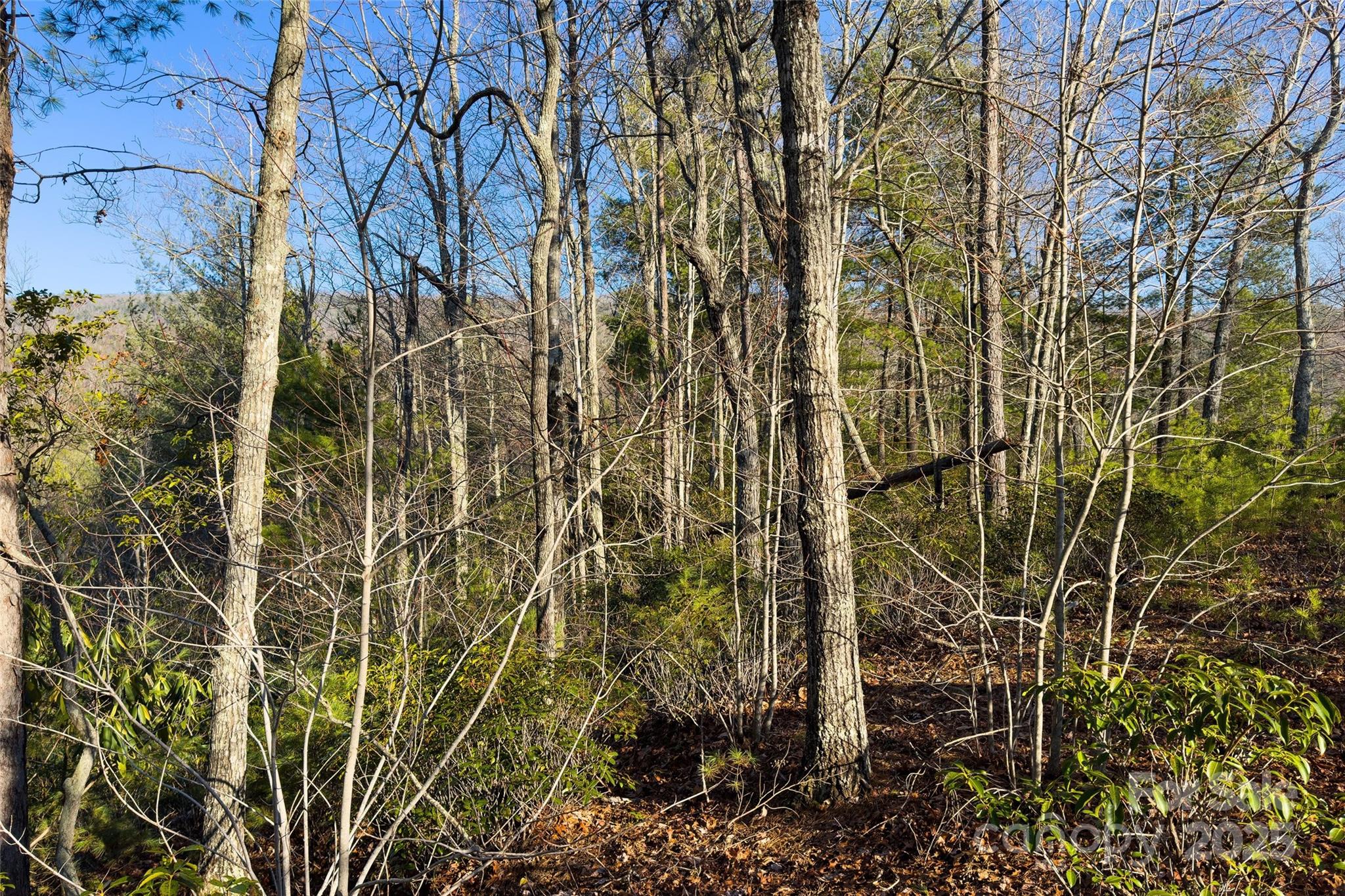 Fox Ridge - Land