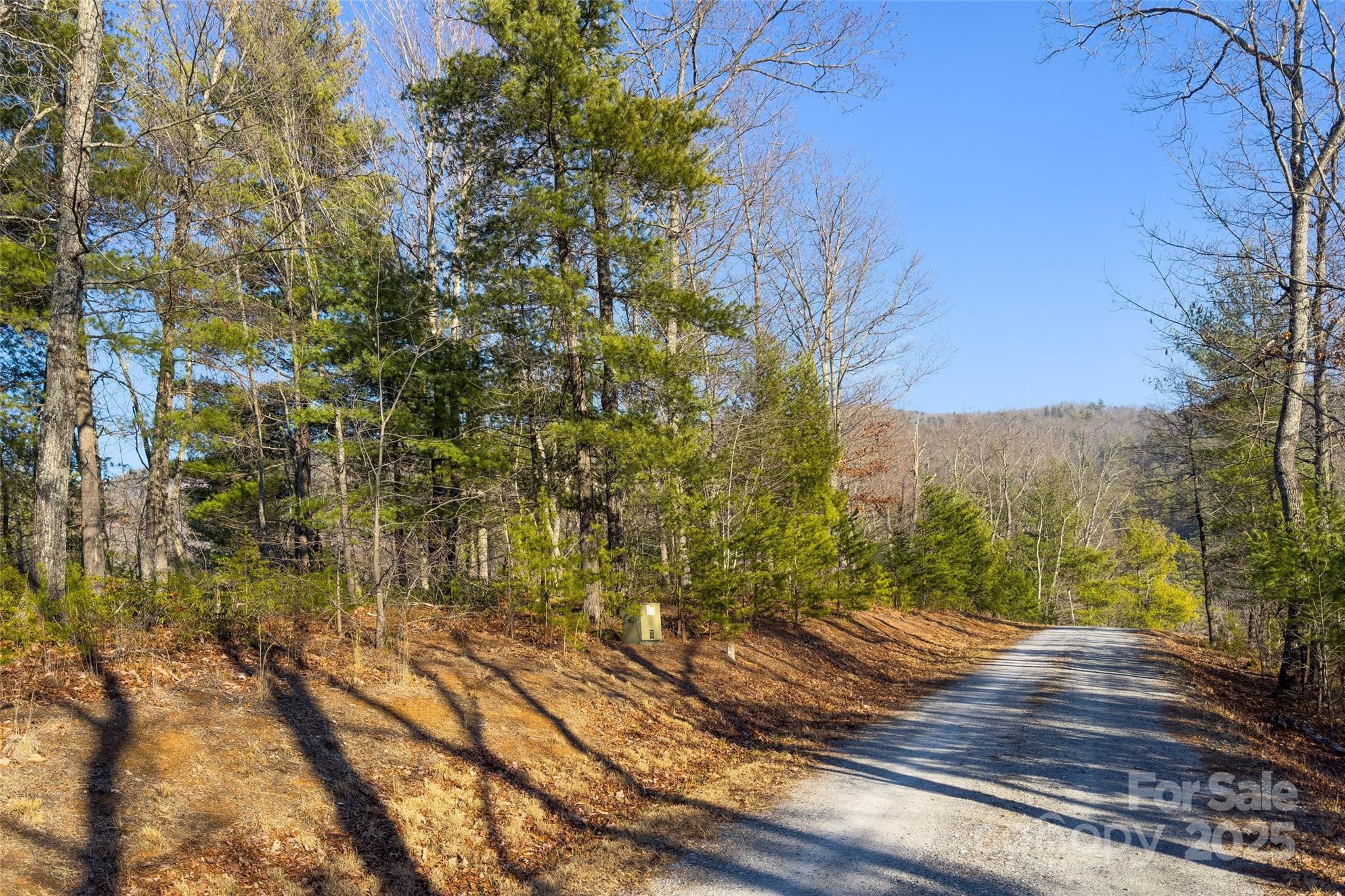 Fox Ridge - Land