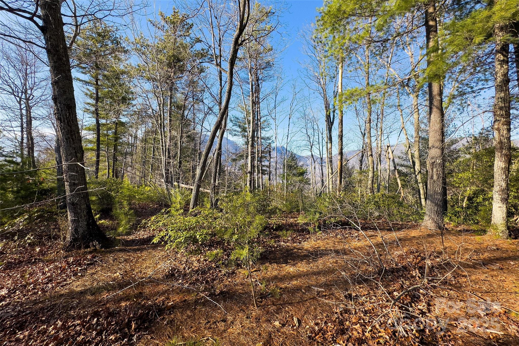 Fox Ridge - Land