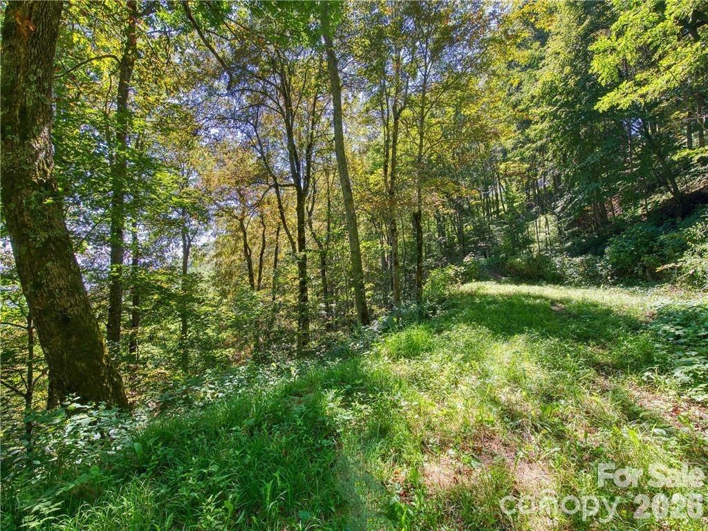 Smoky Mountain Retreat at Eagles Nest - Land
