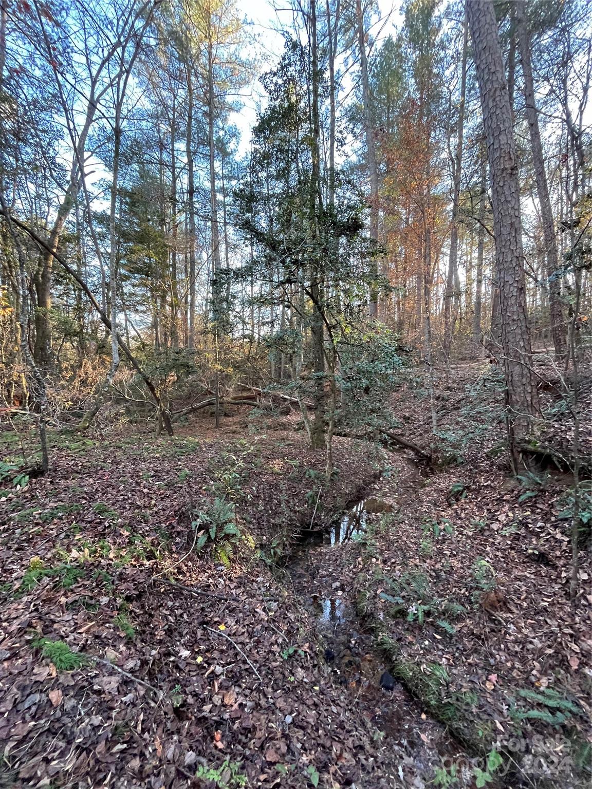 Looking for property in beautiful Alexander County to build your forever home? Then this is the property for you. Conveniently located off the NC 16, this property is only a few minutes to town or a short drive to the neighboring towns of Hickory, Lenoir, and Wilkesboro. This land lays very nicely as it is gently sloping down to a small stream, levels out, then gradually gains elevation to the back of the property which offers many different building spots. Connivence yet enough land to feel secluded, what more can you ask for? Schedule your showing today!