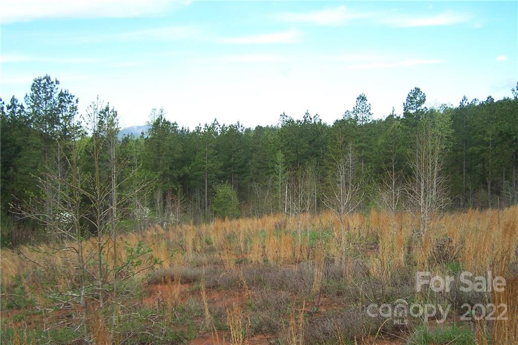 Overmountain Farms - Land