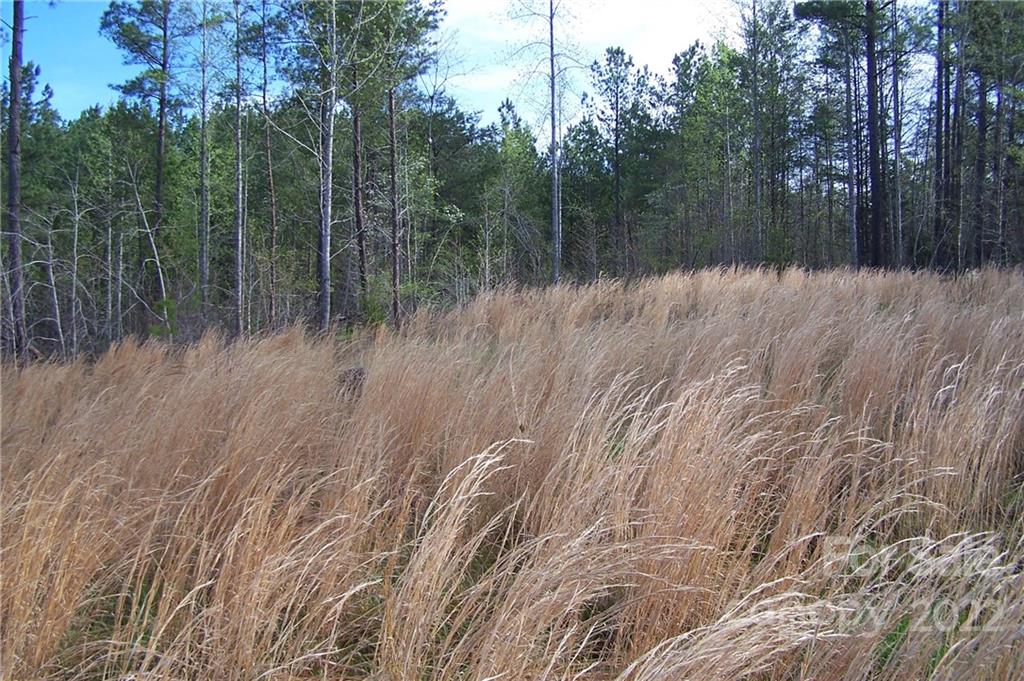 Overmountain Farms - Land