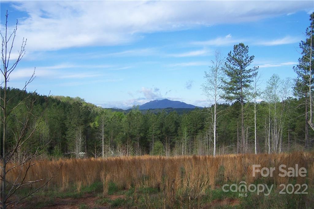 Overmountain Farms - Land