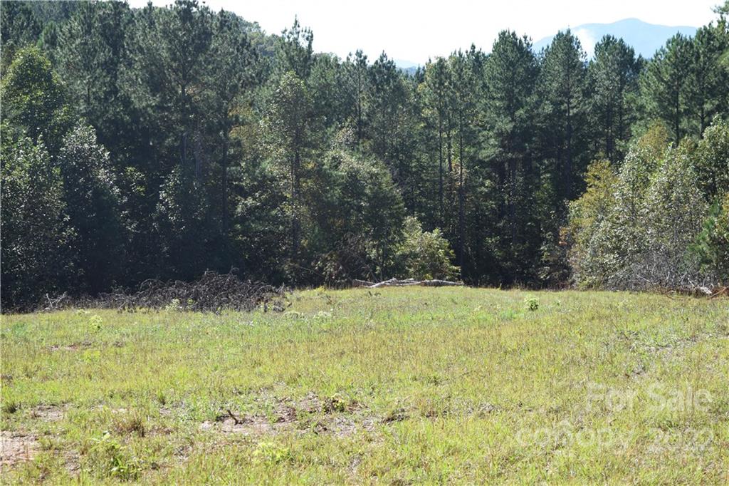 Overmountain Farms - Land