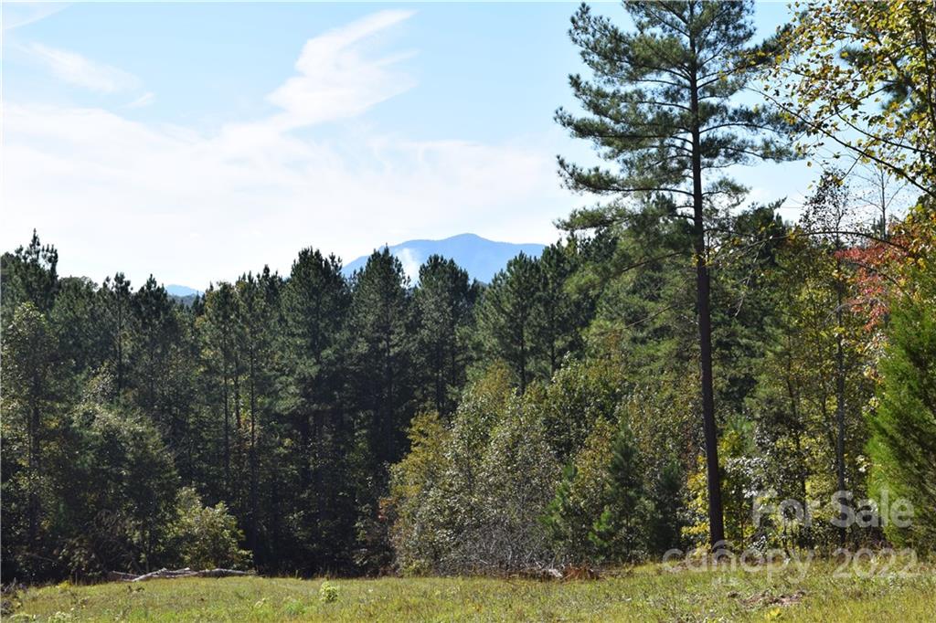Overmountain Farms - Land