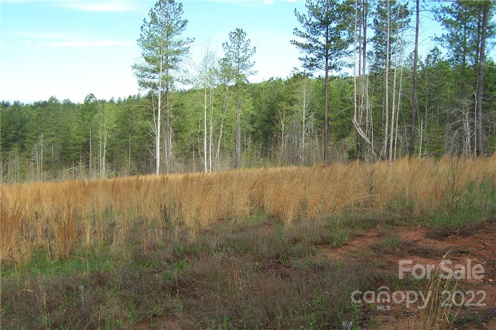 Overmountain Farms - Land