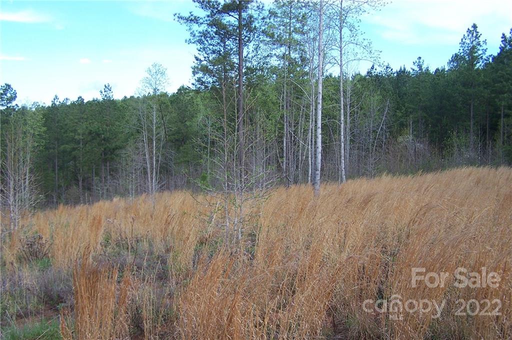 Overmountain Farms - Land