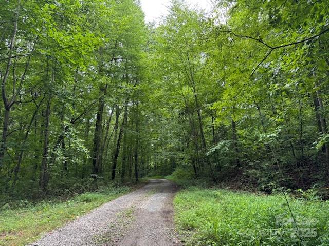 Orchard Mountain - Land