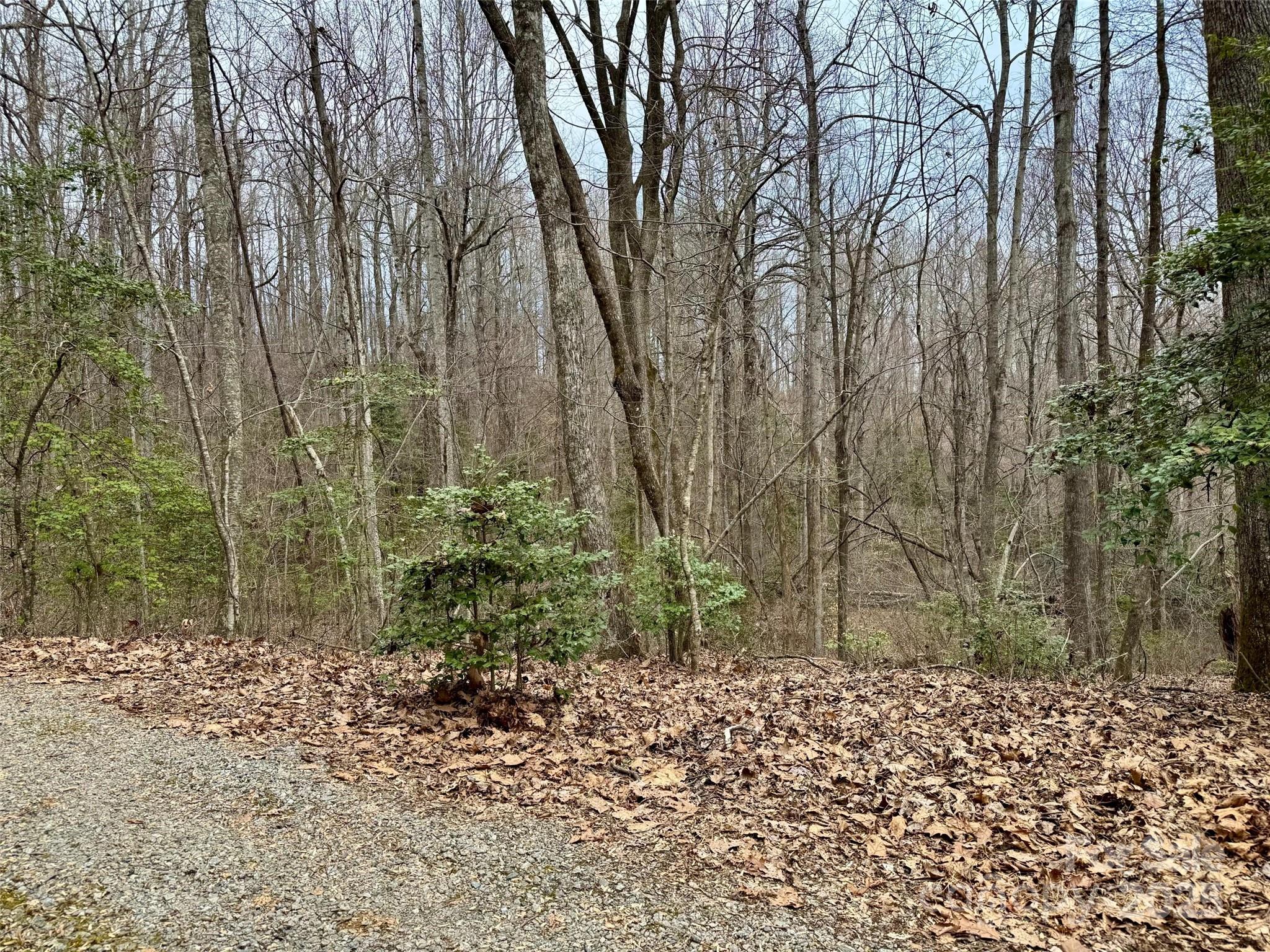 Orchard Mountain - Land