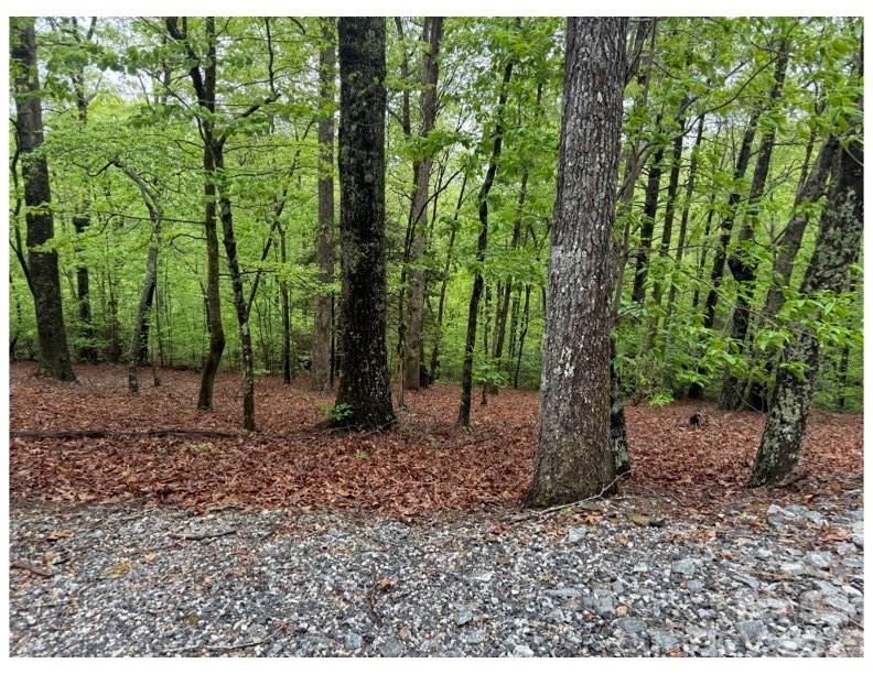 Rock Creek - Land