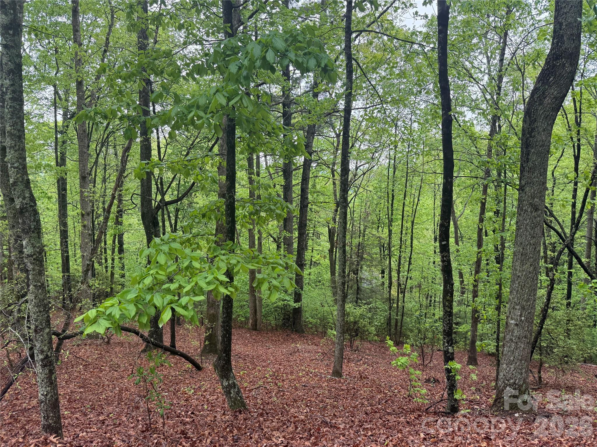Rock Creek - Land