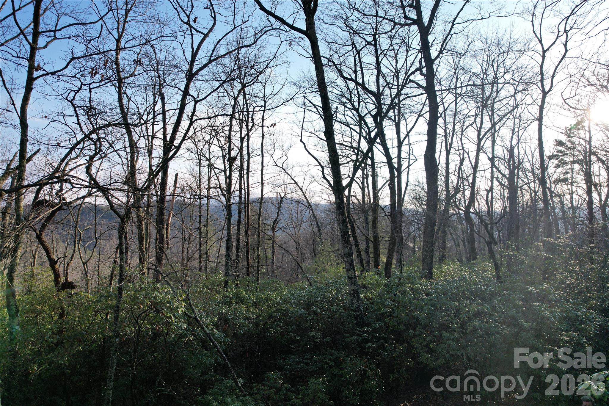Big Hill - Land