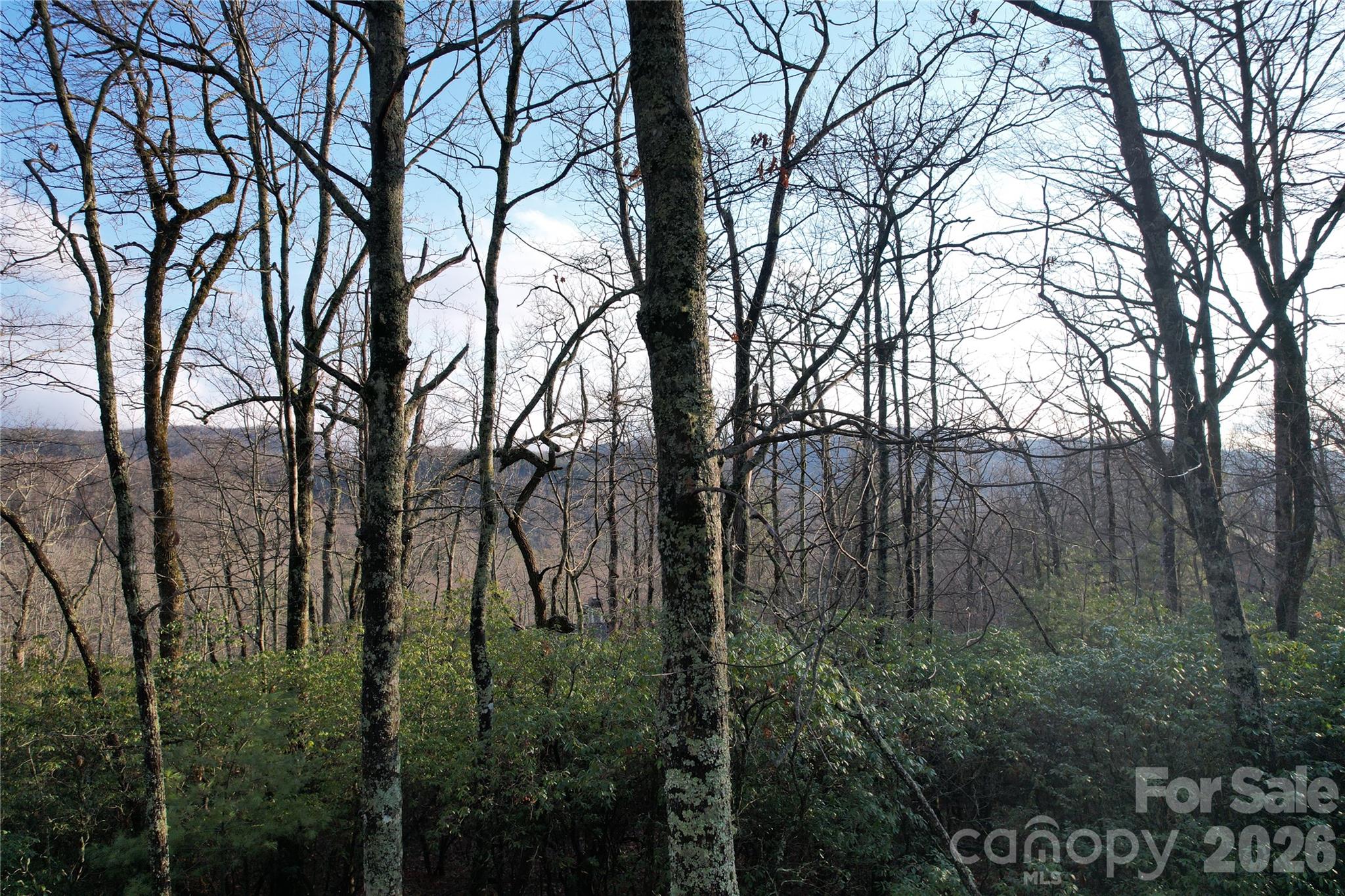 Big Hill - Land