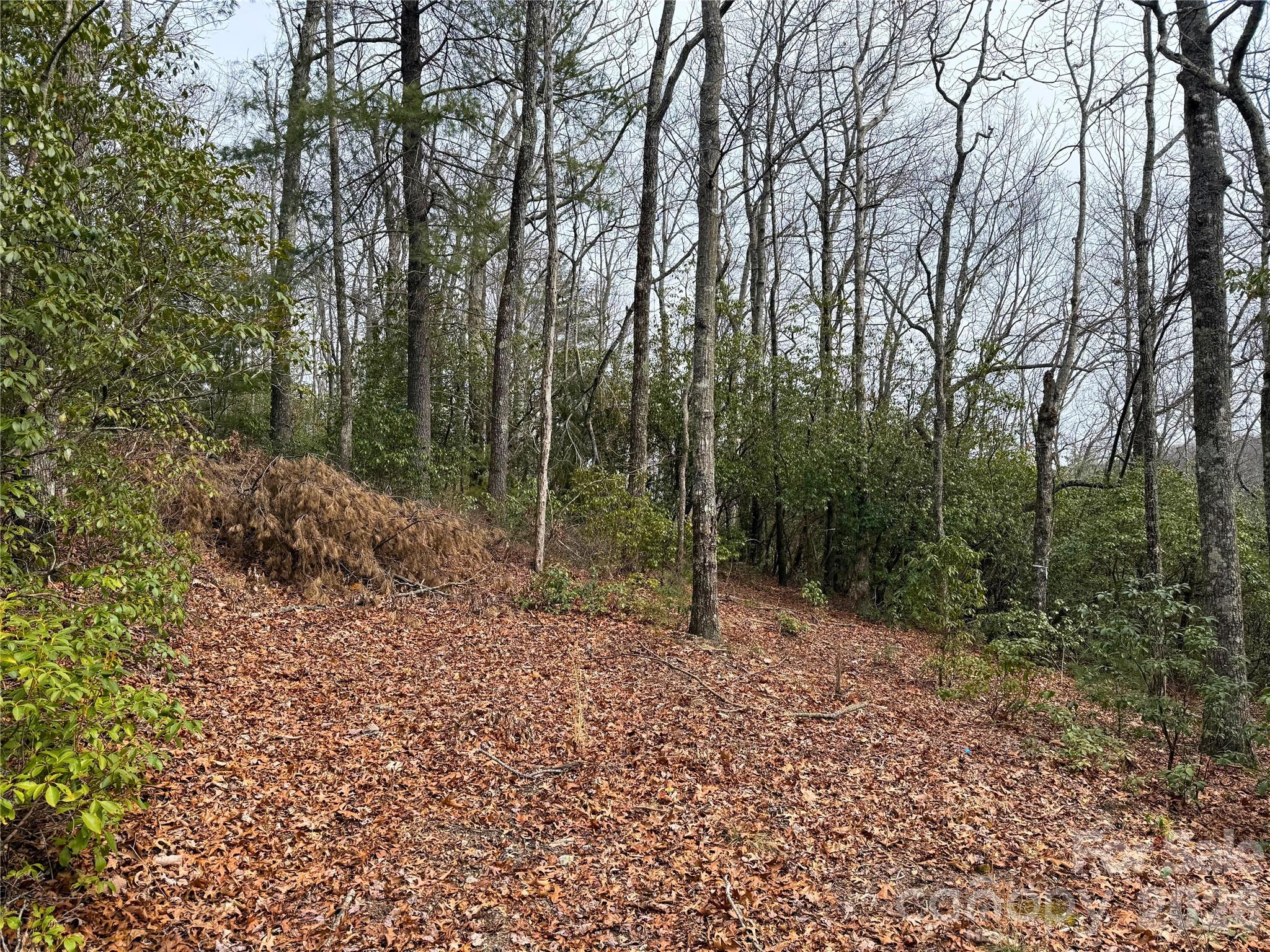 Big Hill - Land