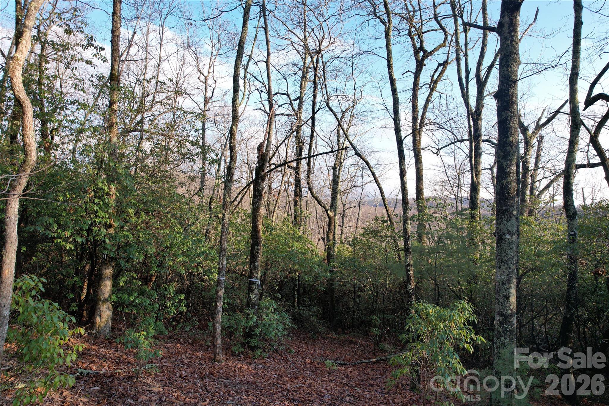 Big Hill - Land