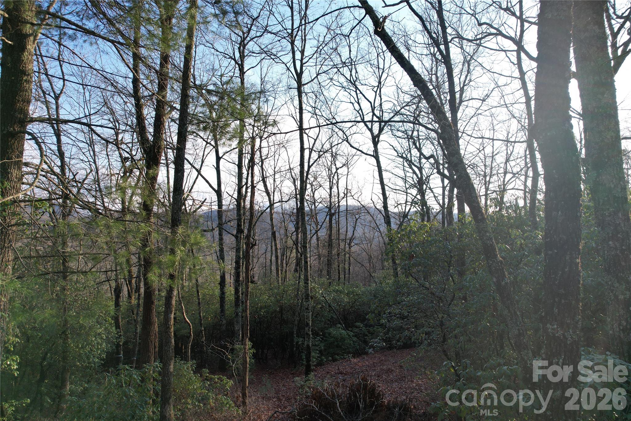 Big Hill - Land
