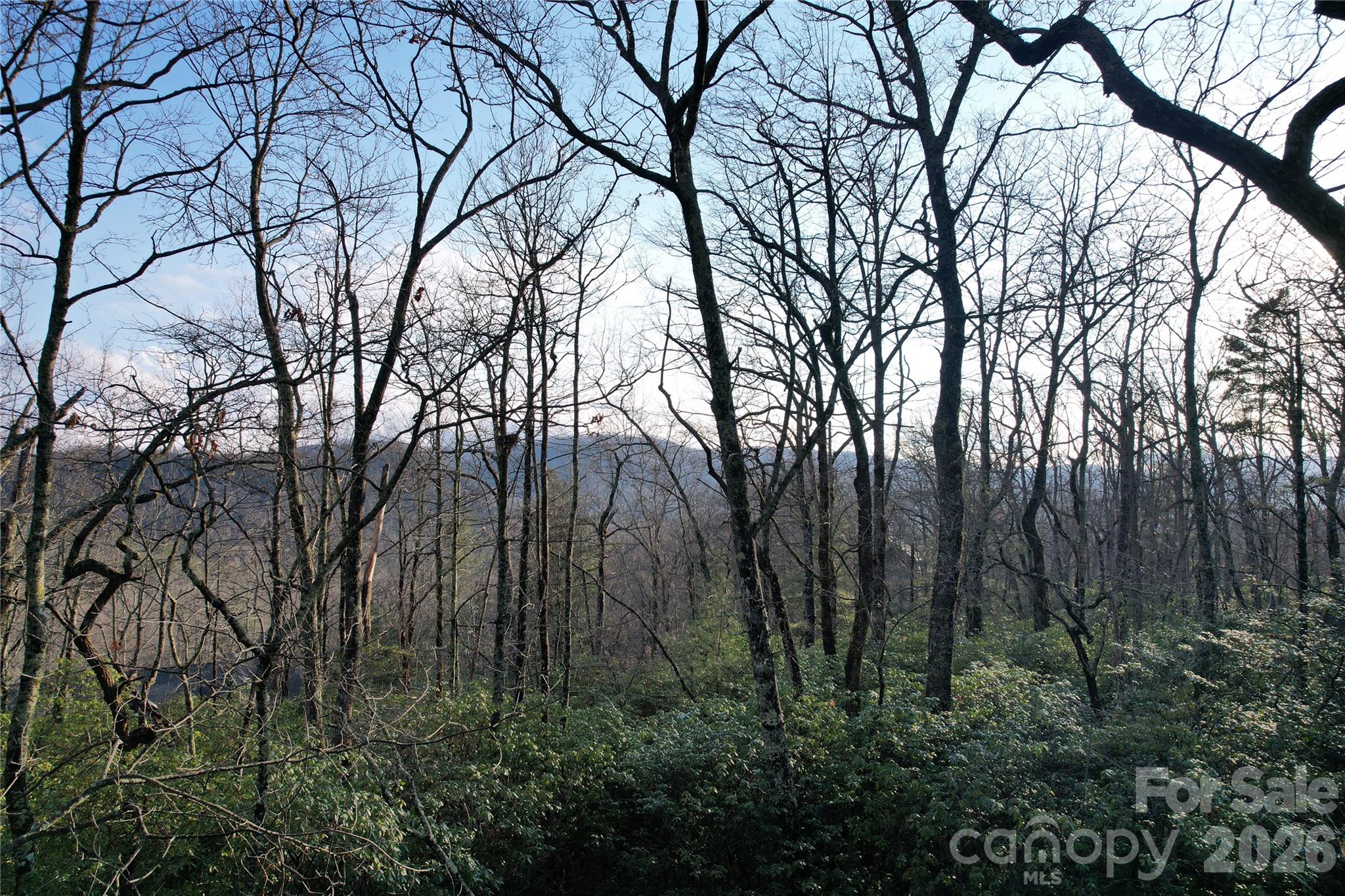 Big Hill - Land
