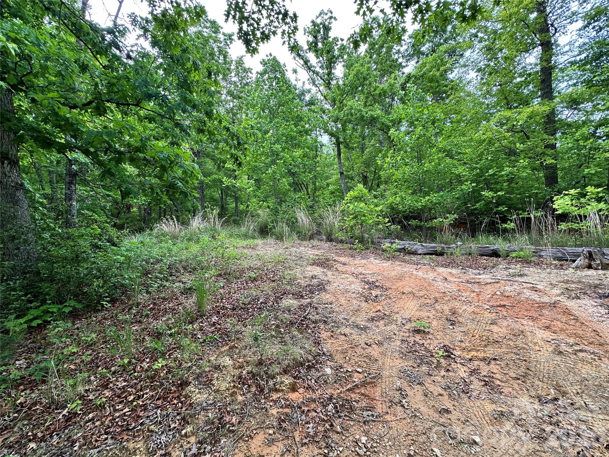 Bird Creek Estates - Land