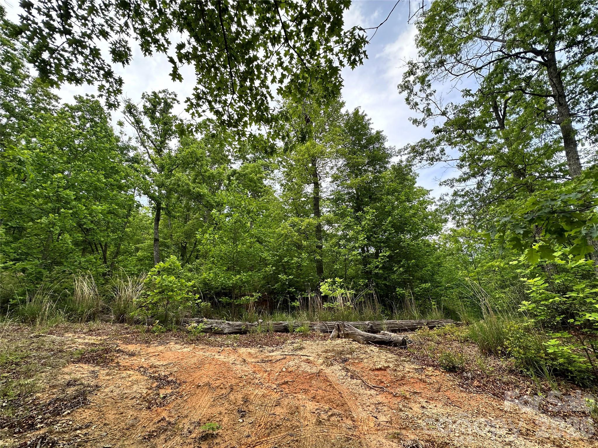 Bird Creek Estates - Land