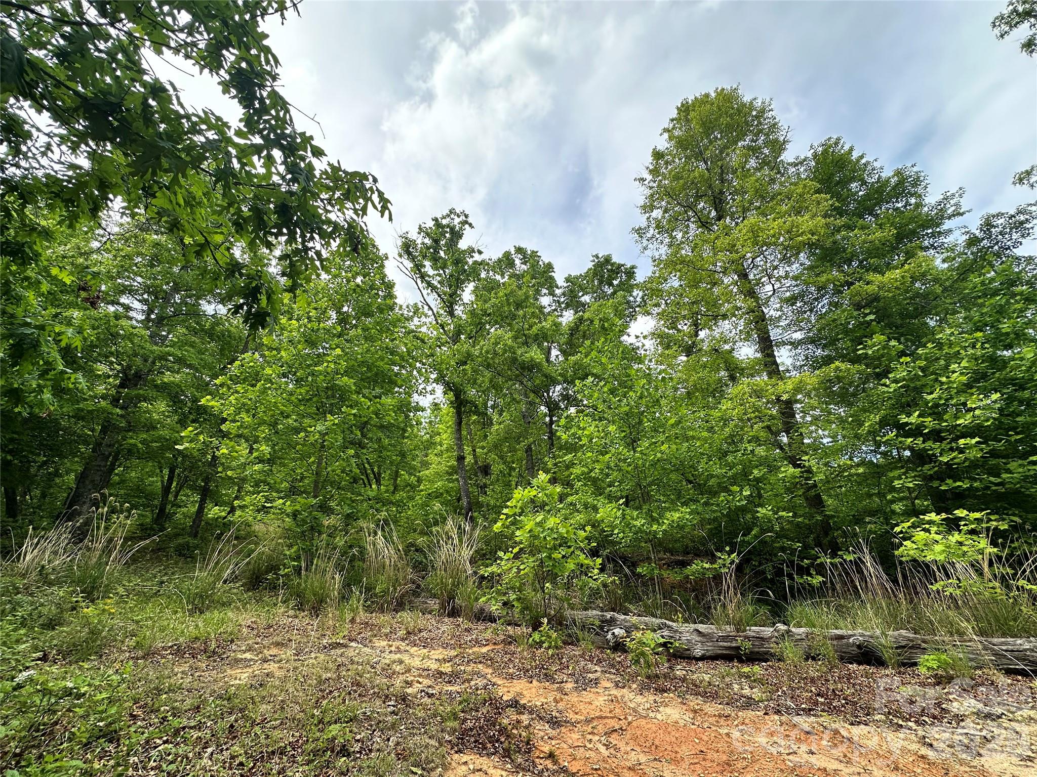 Tucked away in the eastern corner of Buncombe County, this property is your chance to unplug and cultivate a life away from it all. The parcel includes the best part of a large, gently sloping ridge that drops from approximately 2,700 to 2,600 feet in elevation. The slope faces the southeast, which means you will be on the sunny, dry side of the mountain. The property is wooded with plenty of rhododendrons, hardwoods, blackberries, and mountain laurel, yet there is an open feel to the crest of the ridge. The 30-foot easement has a graded dirt road bed in place. Once you enter the property on the easement, you will see the potential build sites immediately. Walking up the ridge will unveil even more potential. Eventually, the grade will steepen toward the northwestern corner of the parcel. Think of this as a natural barrier advocating for your privacy. This property is zoned Open Use, so there is no need to worry about anyone else telling you how to develop your land as you explore the possibilities. This parcel is ideal for a secluded life on the mountain, located just a 25-minute drive to Black Mountain and a 20-minute drive to Lake Lure. Come check this one out for yourself!