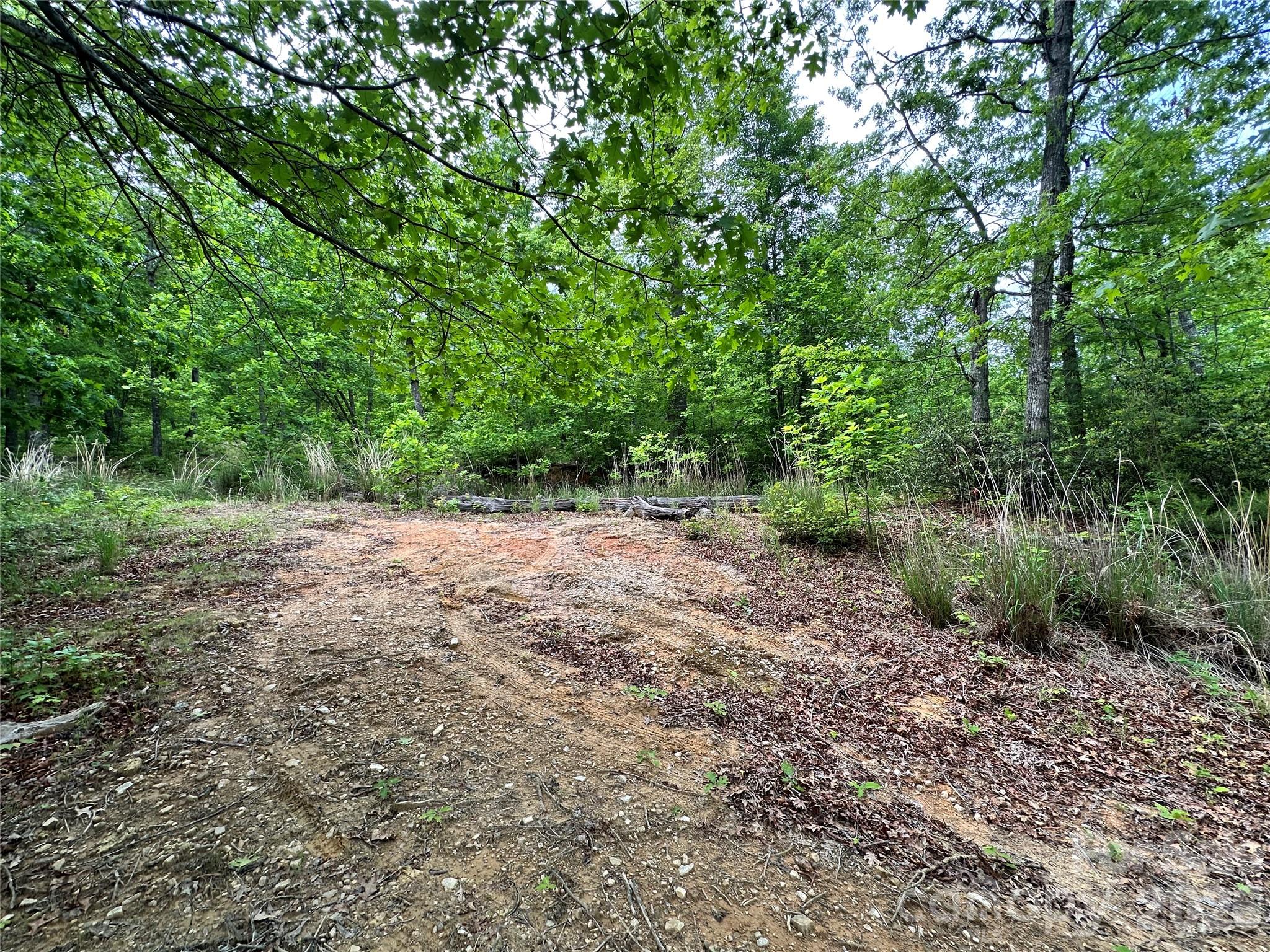 Bird Creek Estates - Land