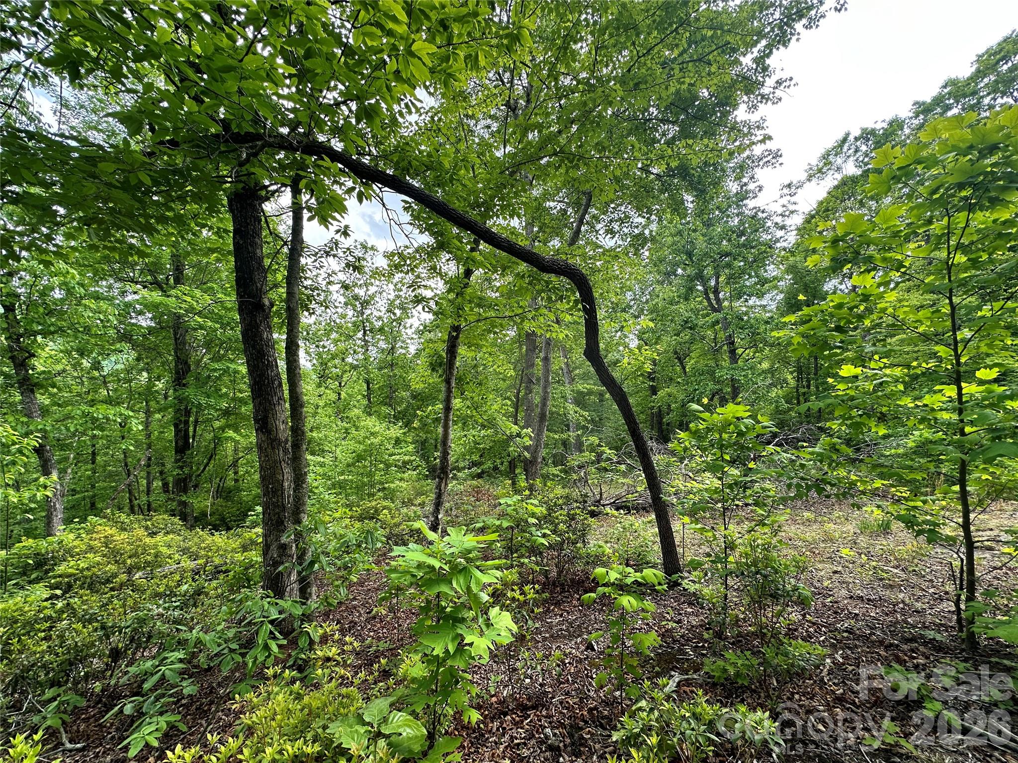 Bird Creek Estates - Land