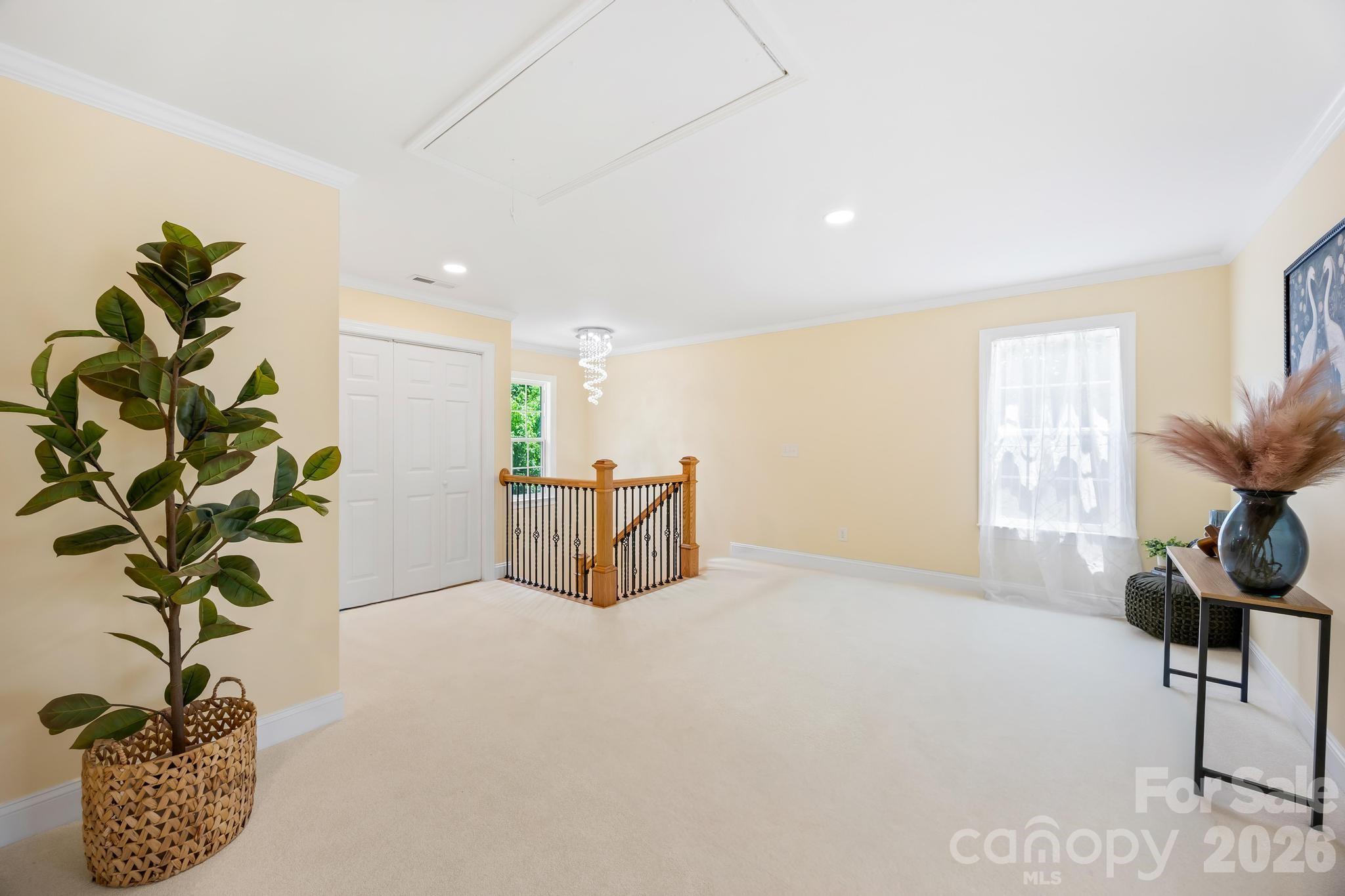 The Paddocks - Residential