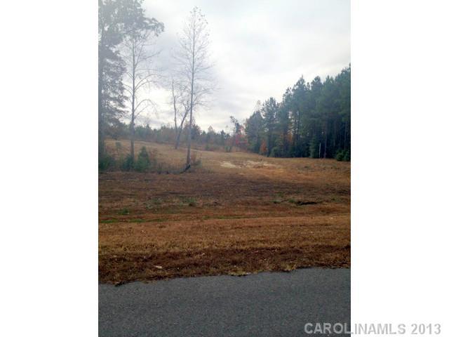 Partially cleared lot in wonderful Catawba Shores ready to build your dream home!. Bring your builder or let the owner build for you! Great potential is this convenient neighborhood with country living at its best.