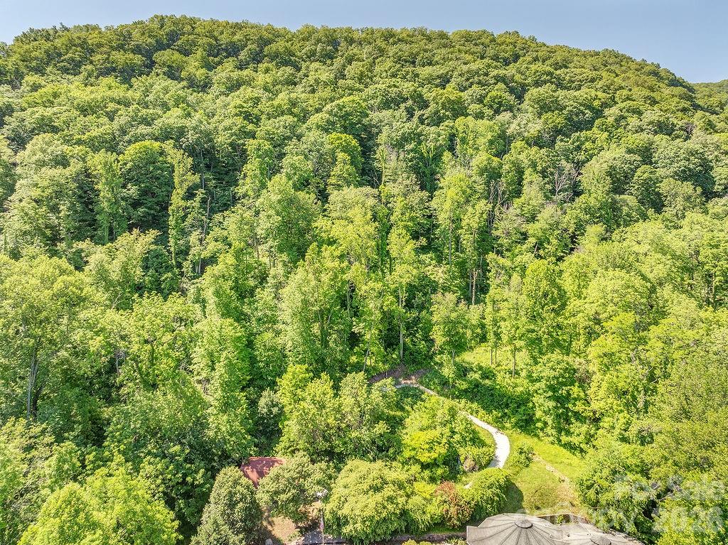 Patchens Mountainside Forest - Land
