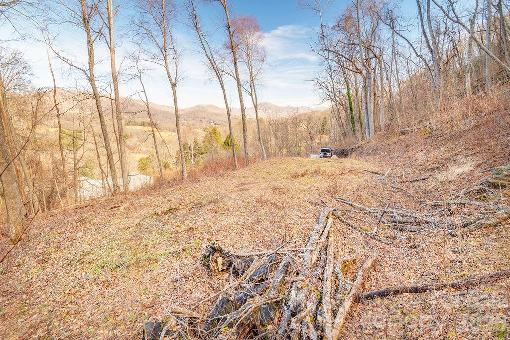 Patchens Mountainside Forest - Land