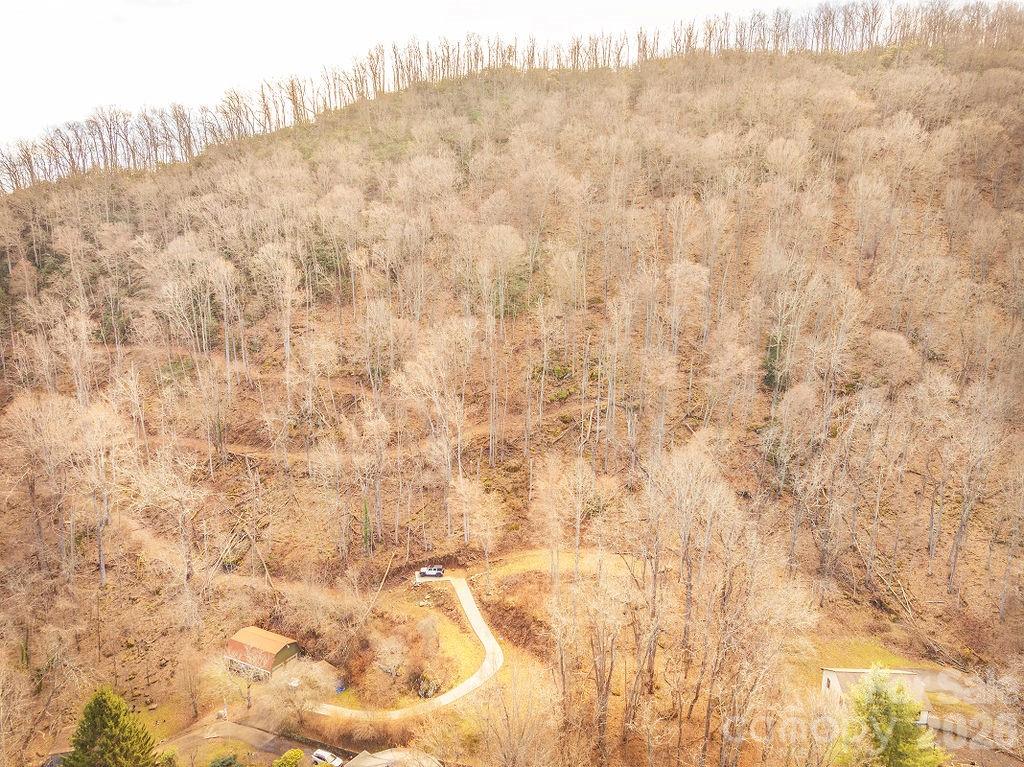 Patchens Mountainside Forest - Land